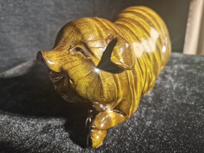 招财金猪1.26kg009.jpg
