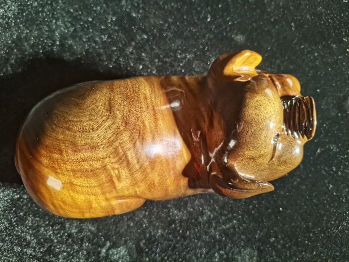 招财金猪0.8kg008.jpg