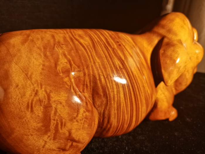 招财金猪2.45kg007.jpg