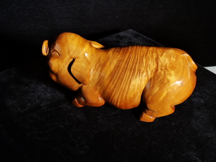 招财金猪2.45kg006.jpg